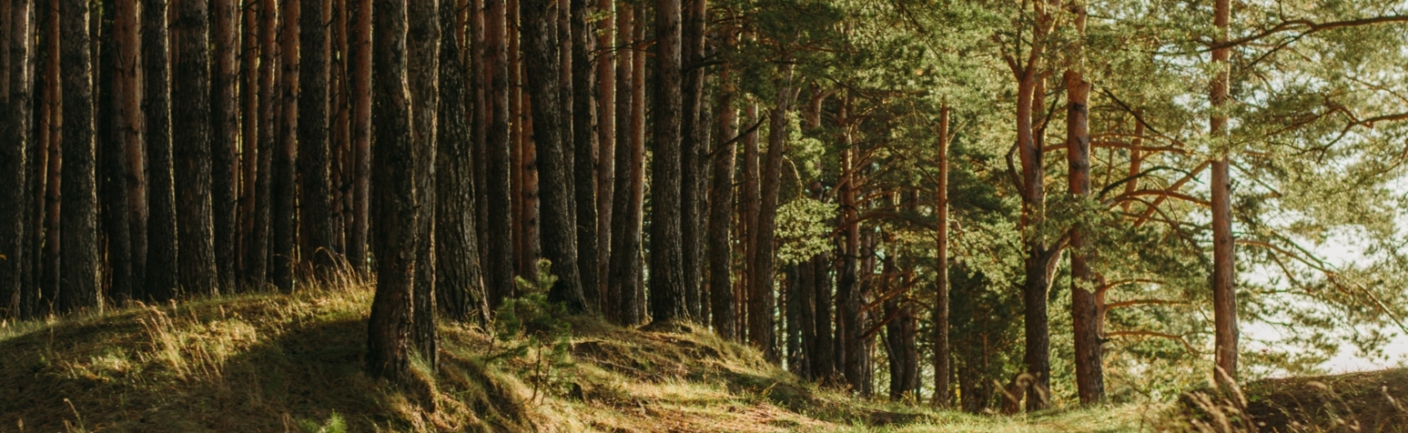 Header image - hero A