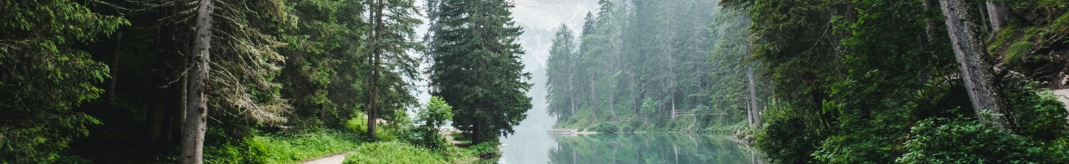 Header image - letterbox B