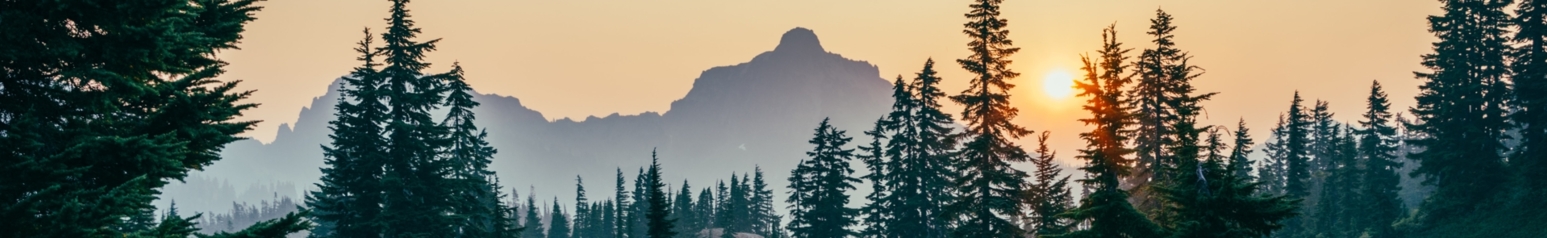 Header image - letterbox A